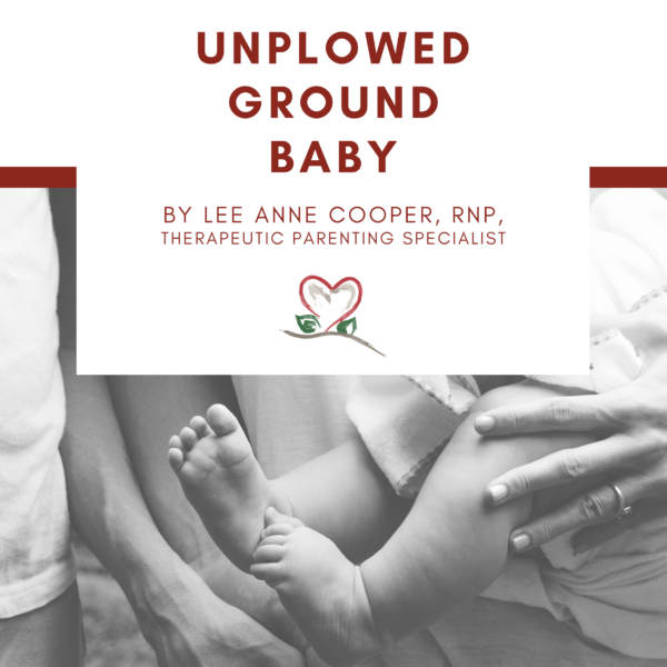 Unplowed Ground Baby